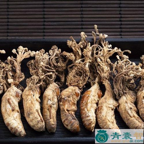 中药材大花虫图片