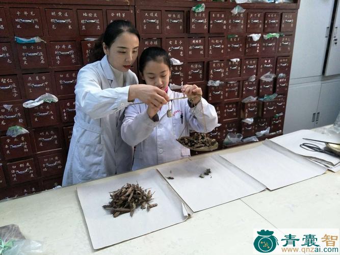中药材大英雄图片