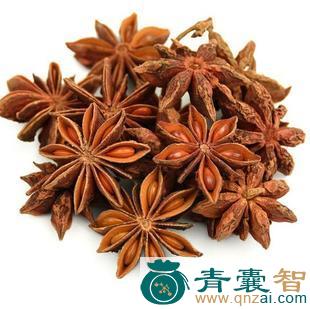 中药材大茴香图片