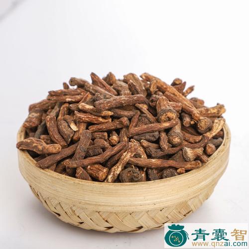 大茶药根-青囊智