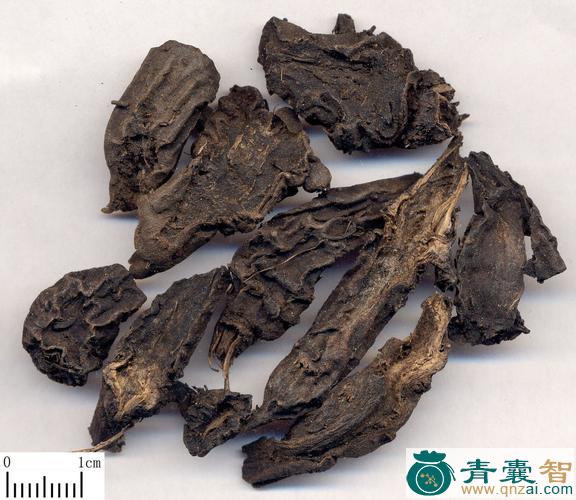 中药材大草乌图片