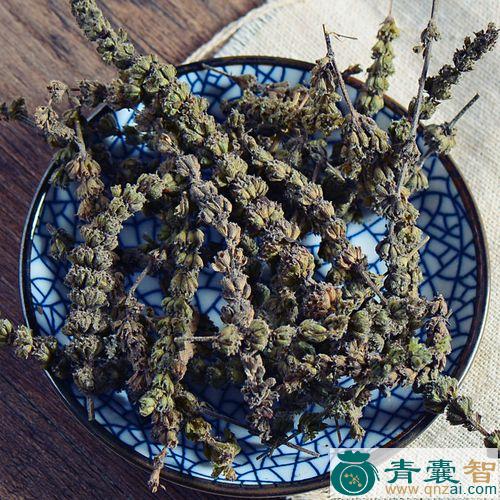 中药材大荠图片