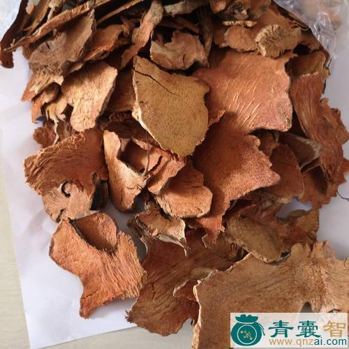 中药材大菝葜图片