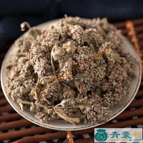中药材大蜜糖花图片