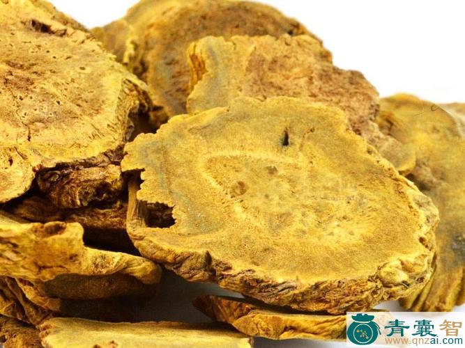 大路边黄的性味归经以及功效用法-青囊智