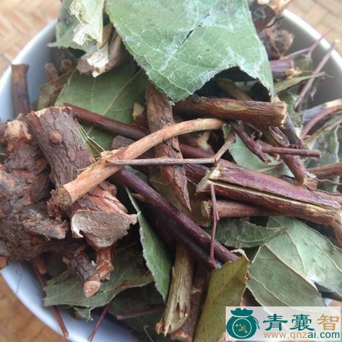 中药材大透骨草图片