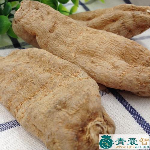 中药材大钱麻图片