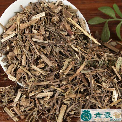 大铁马鞭的性状性味归经以及功效用法和注意事项-青囊智