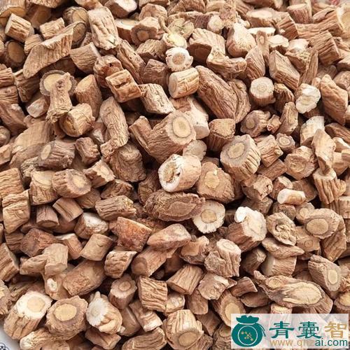 中药材大青根图片