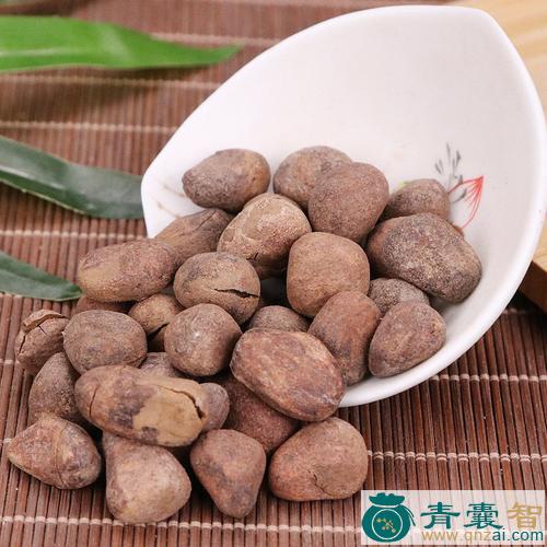 中药材大风子图片