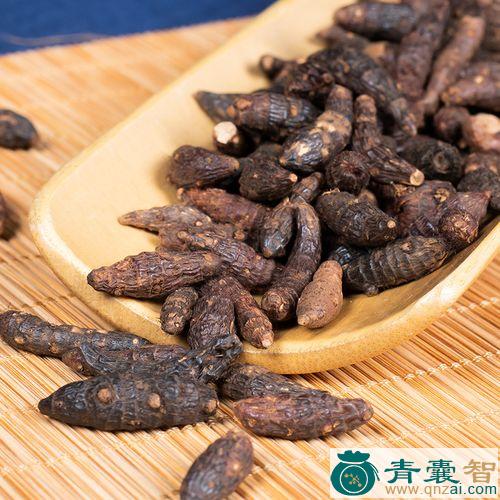 中药材大香附子图片