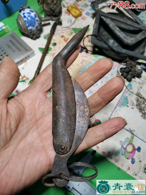 中药材大鱼刀图片