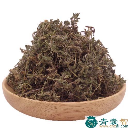 中药材大鹅不食图片