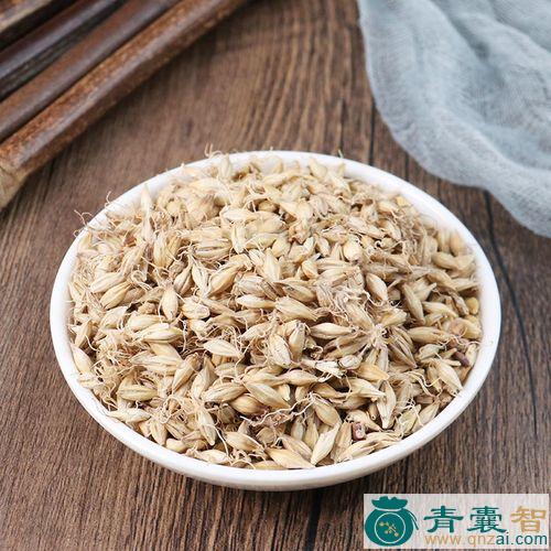 中药材大麦泡图片
