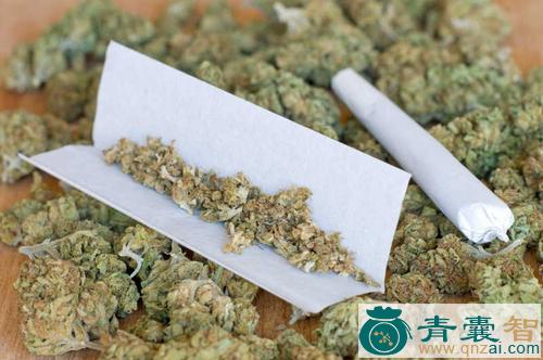 中药材大麻图片