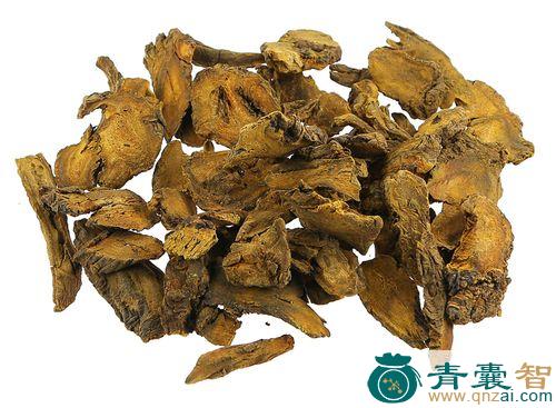 大黄草的性状性味归经以及功效用法和注意事项-青囊智