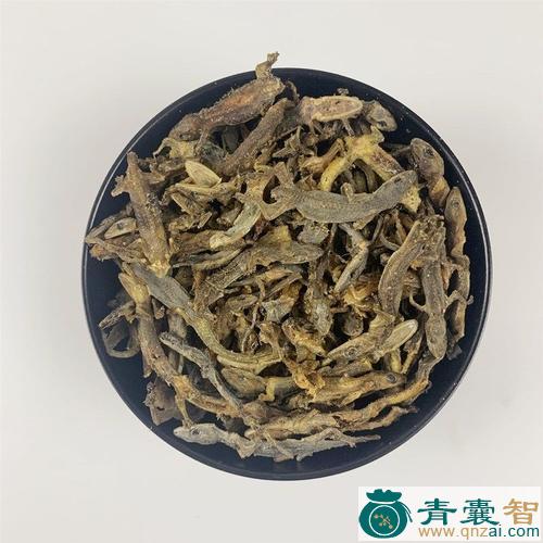 中药材天山一支龙图片