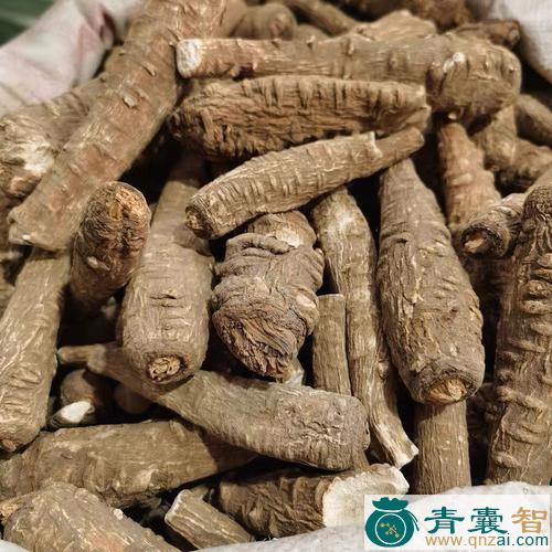 中药材天棕图片