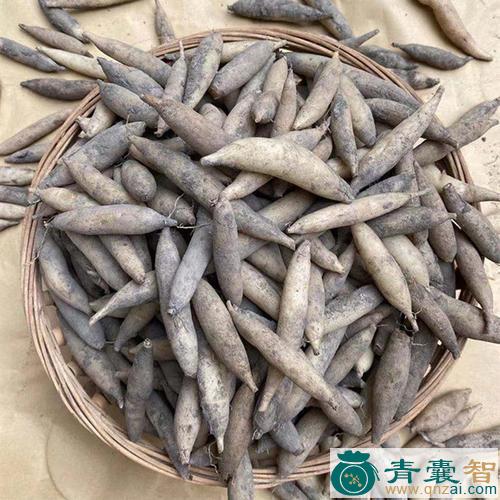 天良草的性味归经以及功效用法-青囊智
