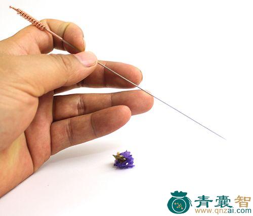 中药材天芒针图片