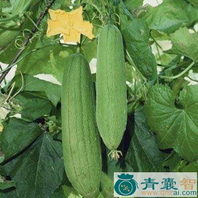 中药材天萝水图片