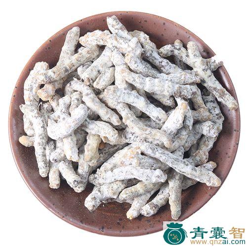 中药材天虫图片