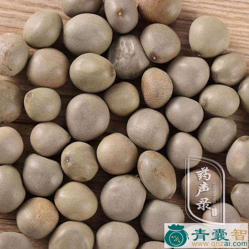 中药材天豆图片