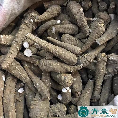中药材天雄图片