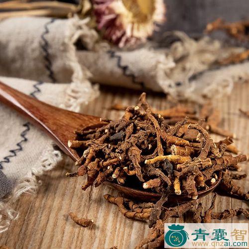 中药材太原菖图片