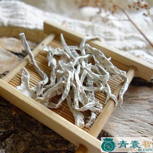 中药材太白茶图片
