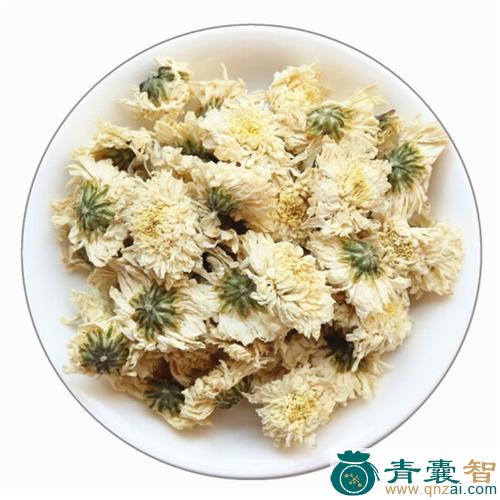 中药材太白菊图片