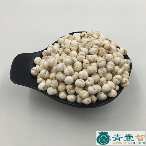 中药材太白贝母图片