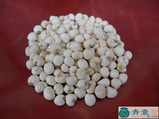 太贝的性状性味归经以及功效用法-青囊智