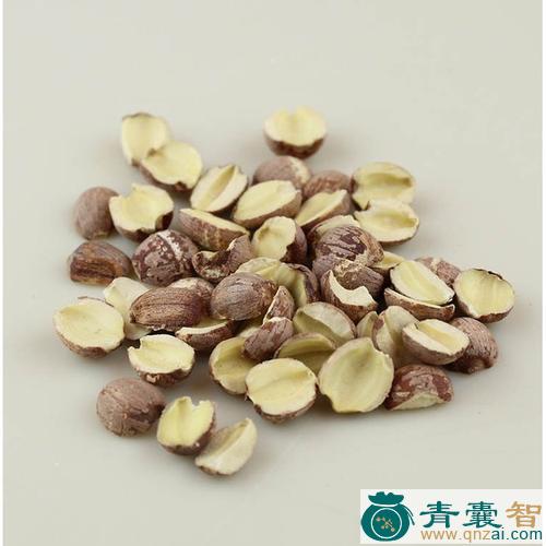 中药材央丝图片