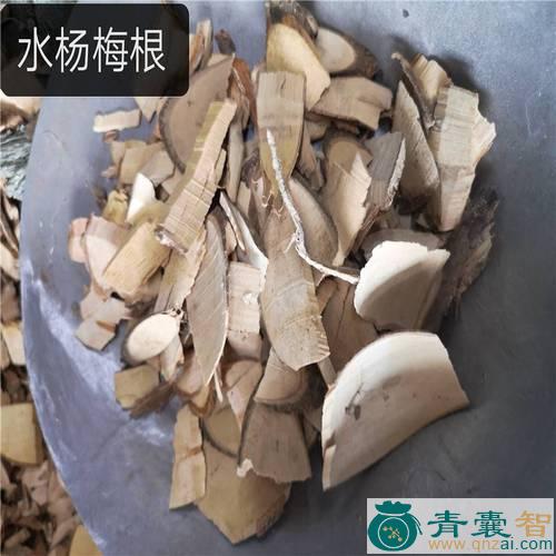 中药材头晕药根图片