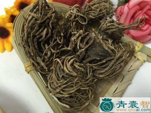中药材头顶一枝草图片