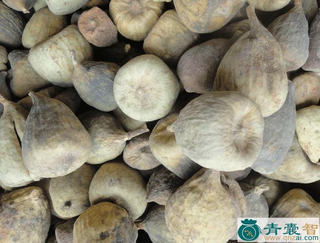 中药材奶党图片