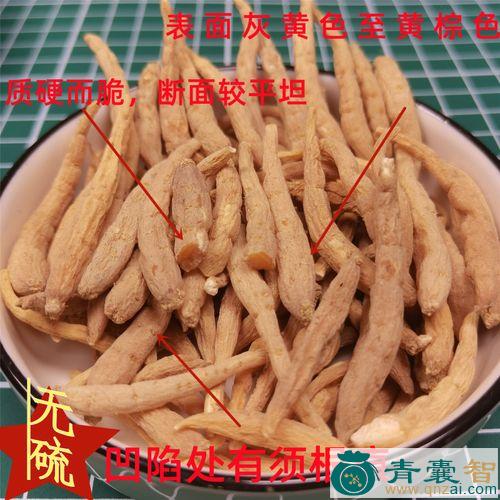 中药材奶孩儿图片