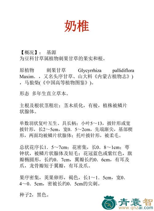 中药材奶椎图片