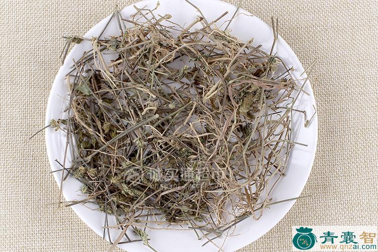 中药材娃草图片