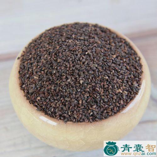 中药材子图片