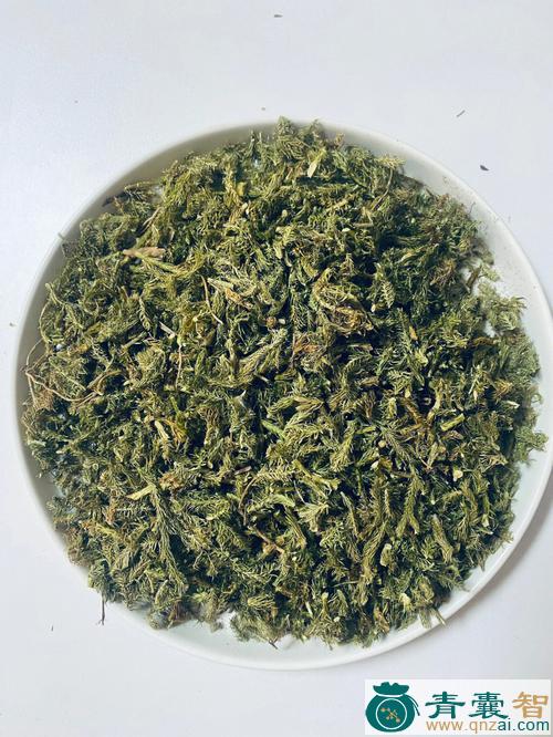 中药材定风筋图片
