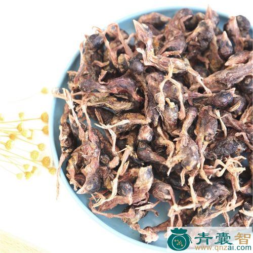 中药材宛鹑图片