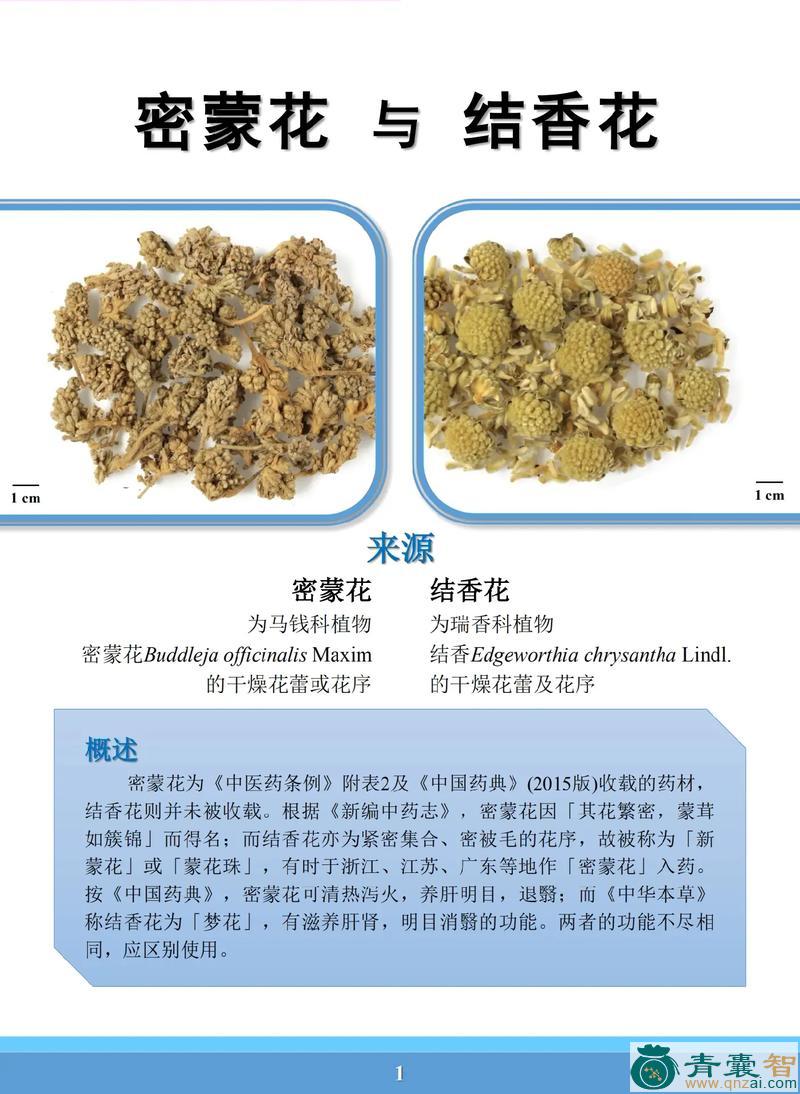中药材宜蒙子图片