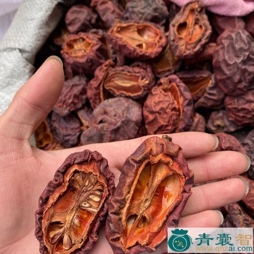 中药材宣木瓜图片