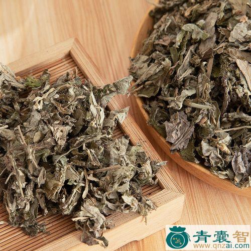 中药材家艾图片