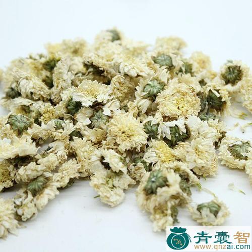 中药材家菊图片