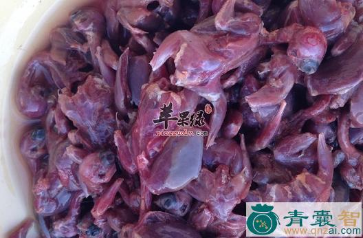 中药材家雀肉图片