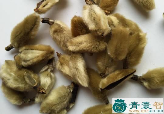 中药材密毛子图片