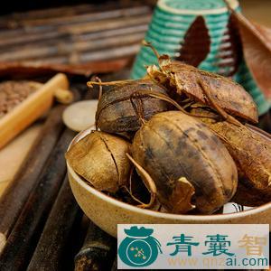 中药材密马图片